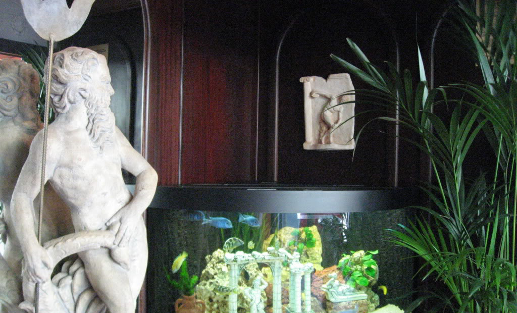 116401_poseidon_titel