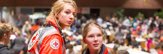 116771_116771_kontakt