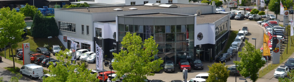 117376_1650522095469_kleinmannautohausneu