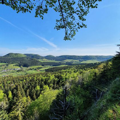 117401_csm_rappenstein_5aba72a3f2