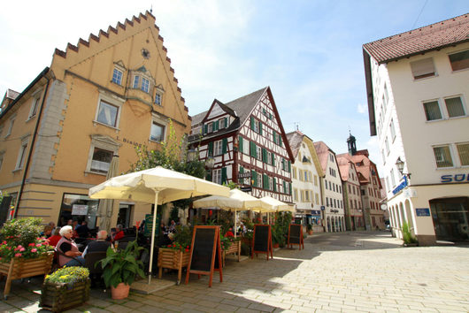 117500_img_4740-1024×683