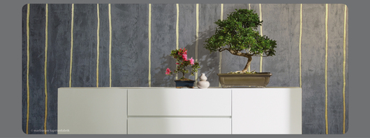 121128_normal_wahlenmeierheaderbildertapeten