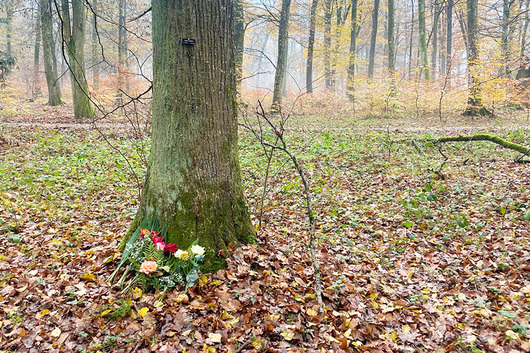 121644_baumbestattungordemann