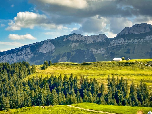 121644_bergbestattungordemann