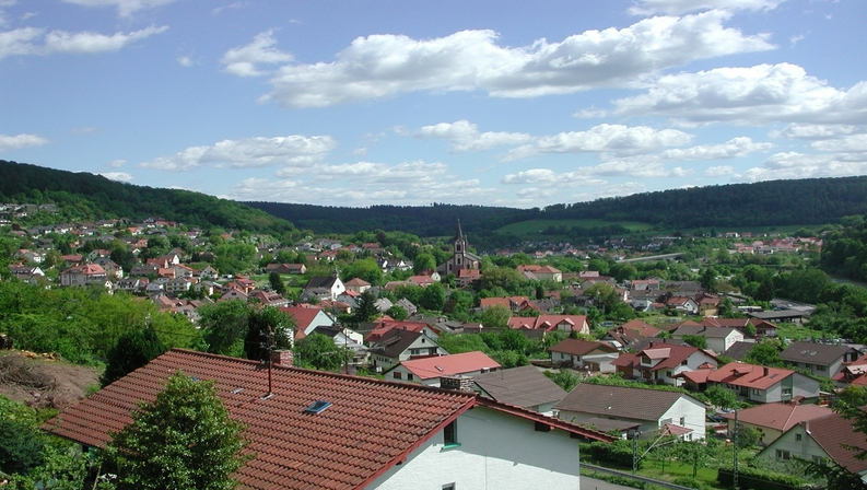 41279_vorschaubild_neckargerach