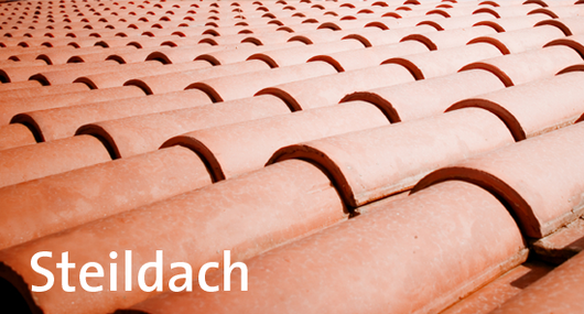 46077_steildach_bild