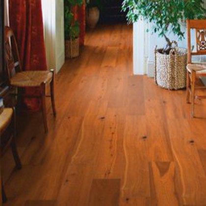 49708_49708_harsch-2