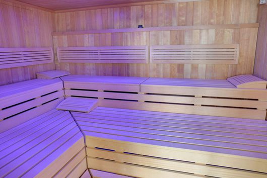 55497_avita_sauna