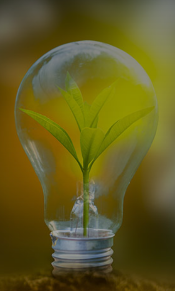 59380_Foto_Glühbirne_Website