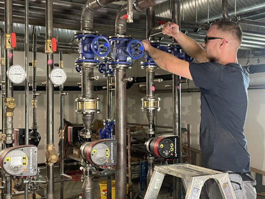 107120_bechert_nachwuchs