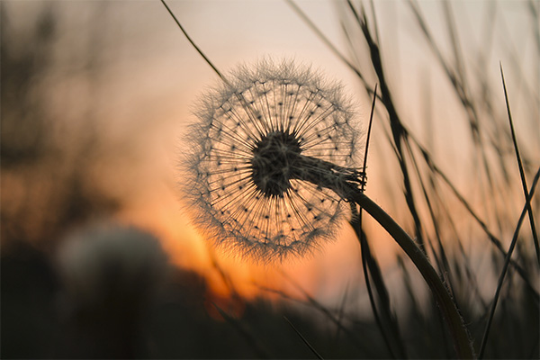 116171 Bestauttung Geyer_header