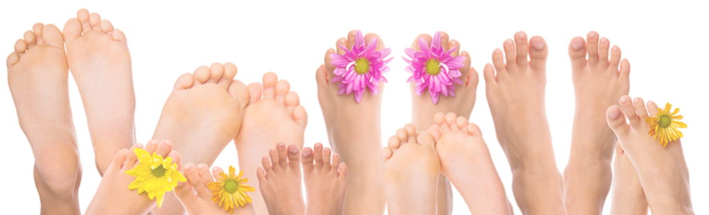 121676 Sanitätshaus Bächle _header