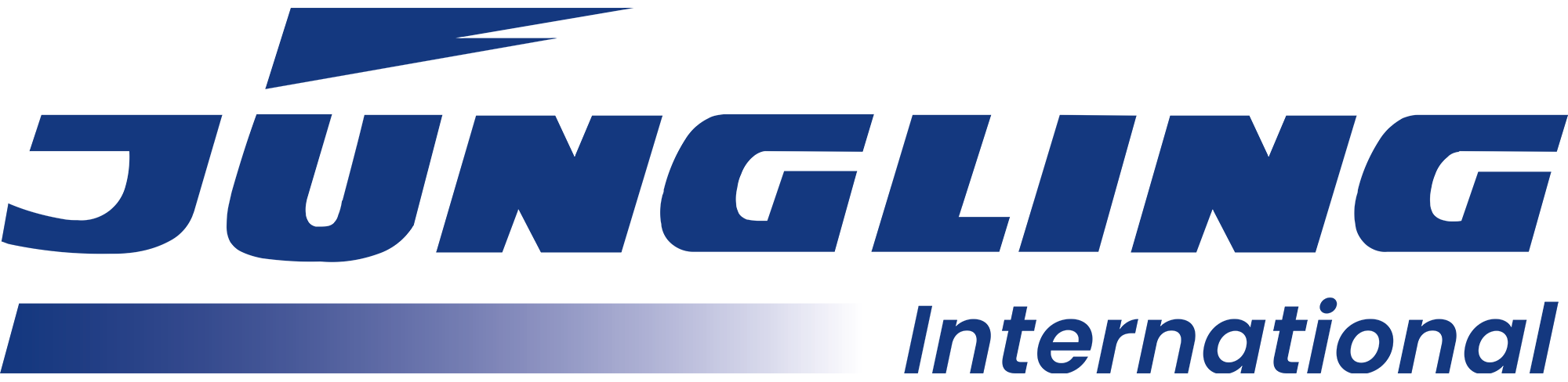 Jüngling Möbeltransport und Spedition GmbH