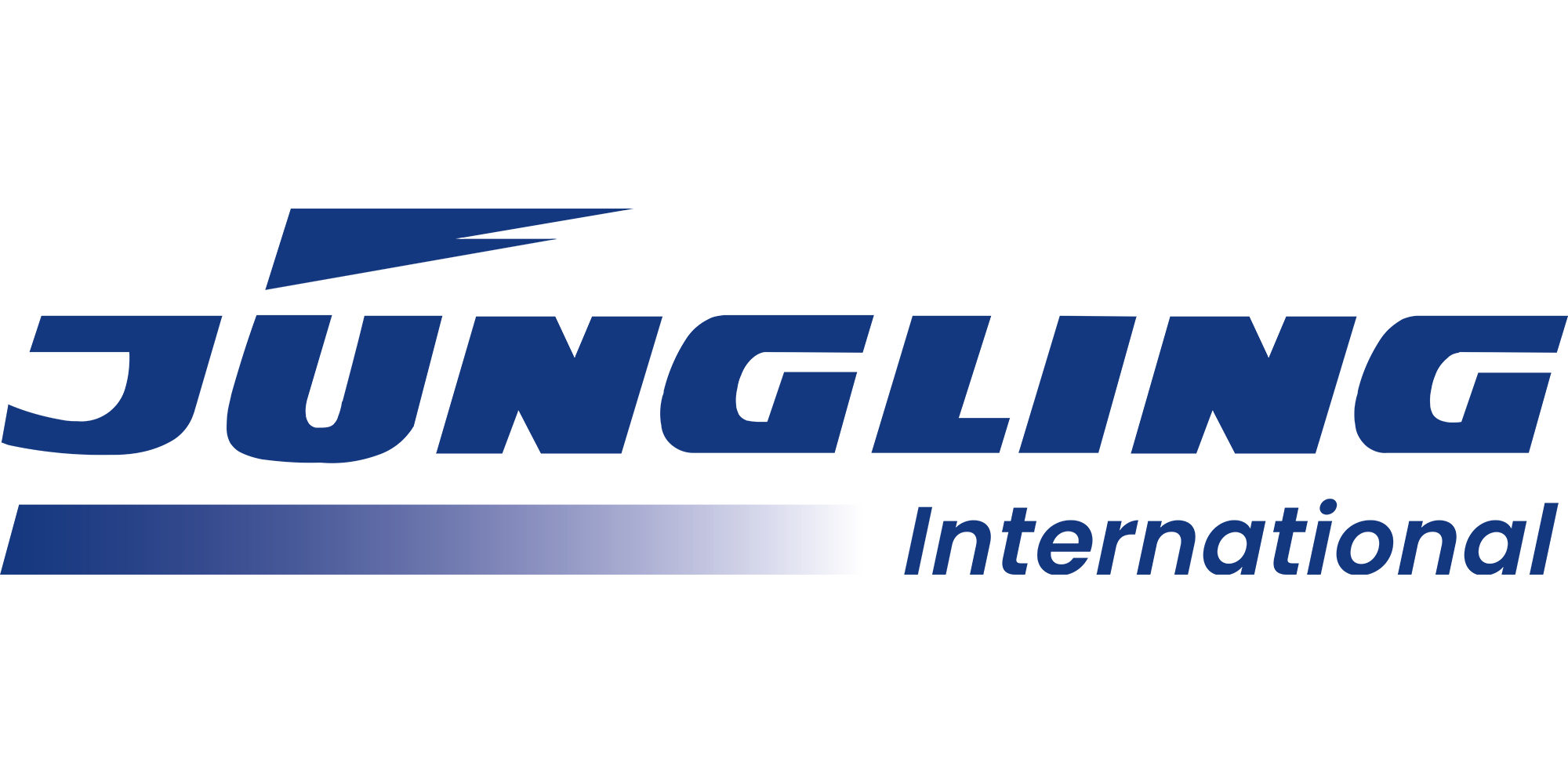 Jüngling Möbeltransport und Spedition GmbH