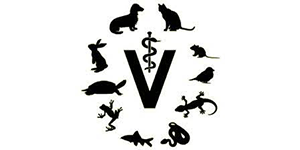 Dr. med. vet. Ute Frommeyer – Kleintierpraxis