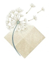 Die Bestatterinnen  Kipp – das Bestattungshaus